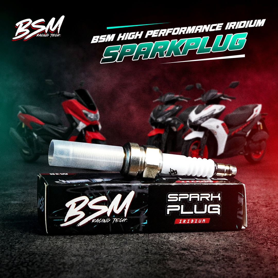 BSM SPARK PLUG