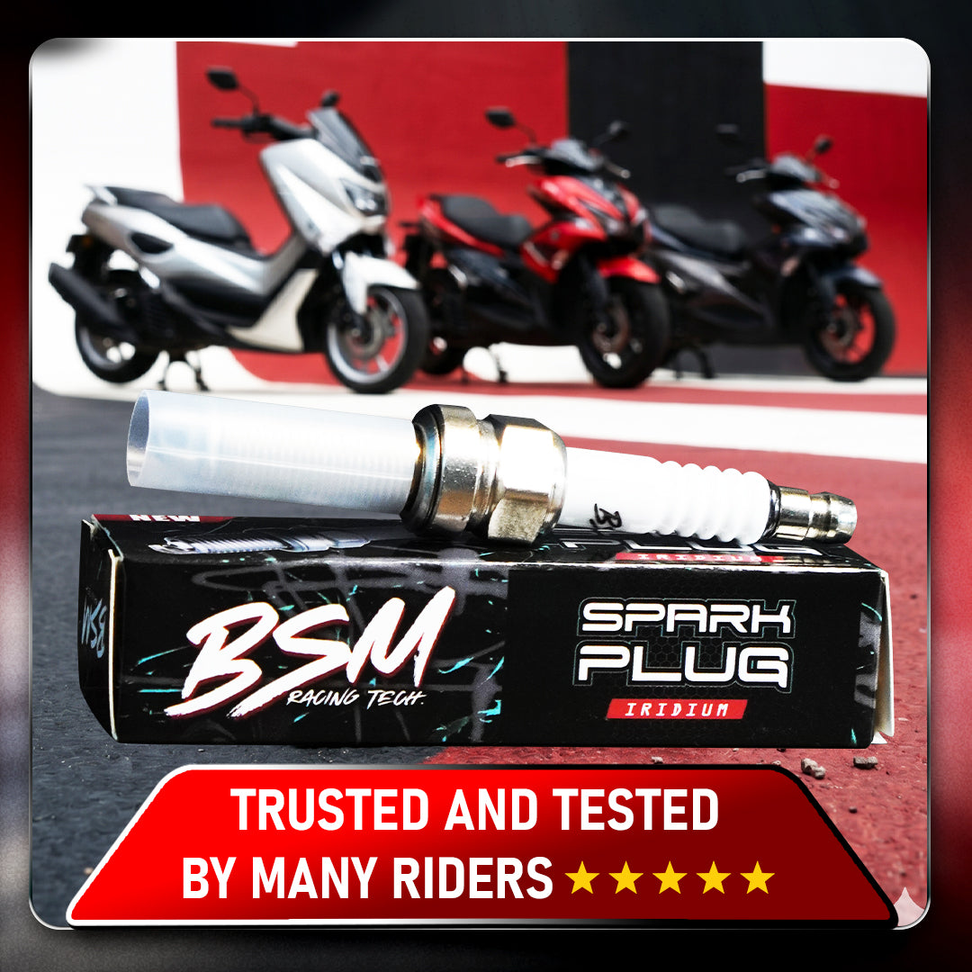 BSM SPARK PLUG