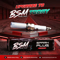 BSM SPARK PLUG
