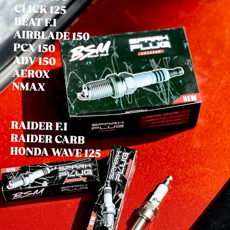 BSM SPARK PLUG